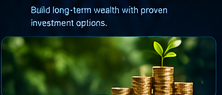 Traditional investment visual